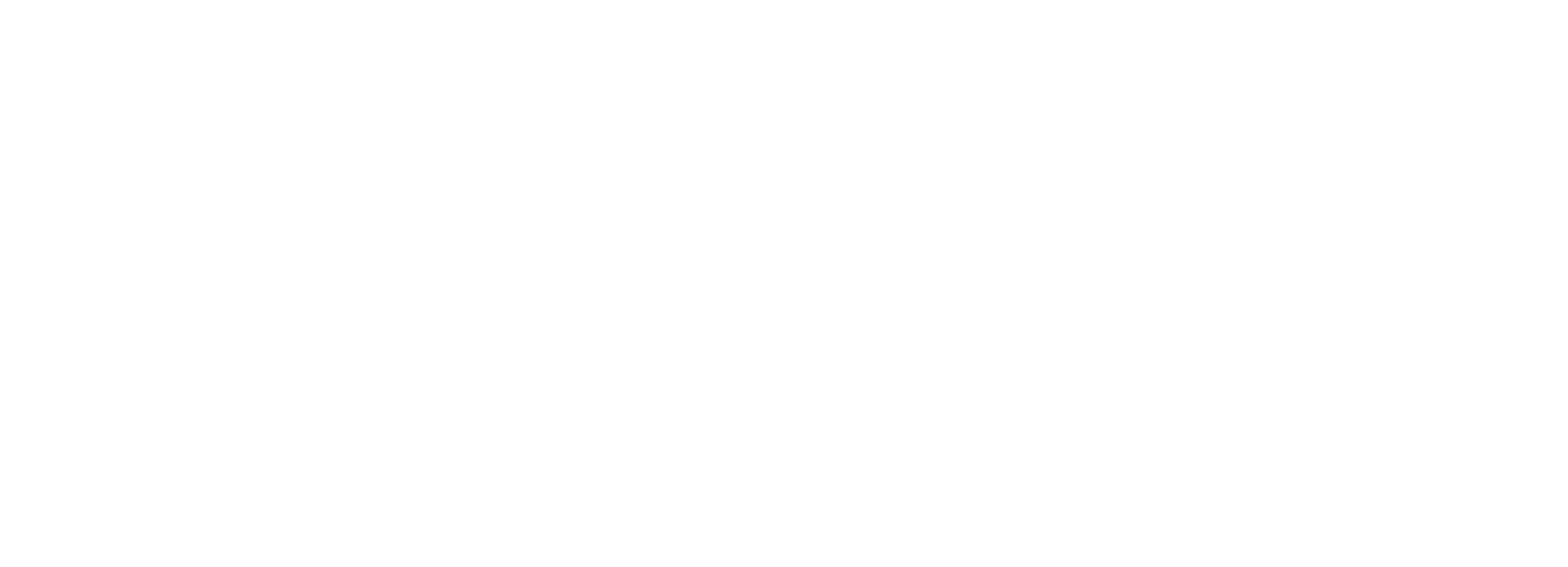 logo stitchkin